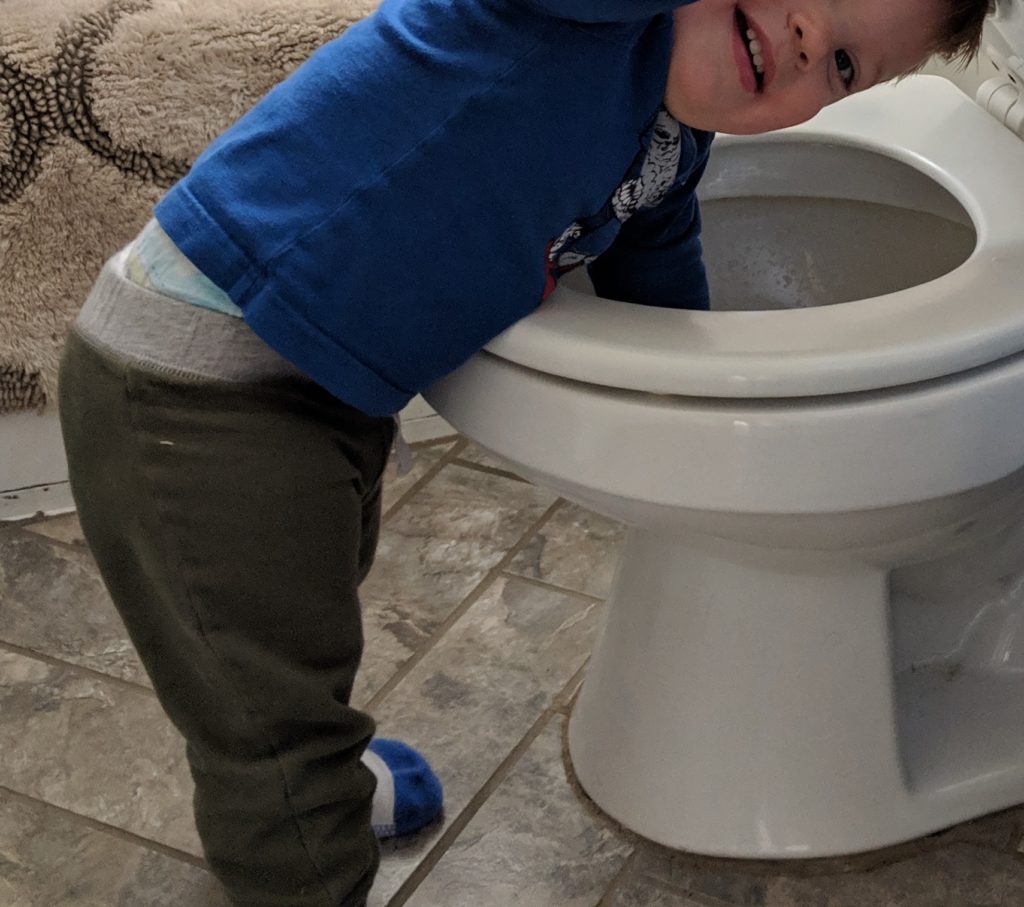 potty training; child sticking arm in toilet