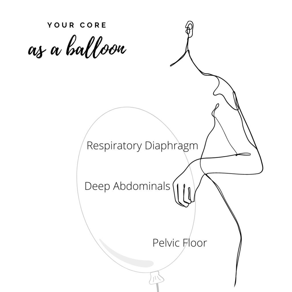 postpartum core and pelvic floor diagram