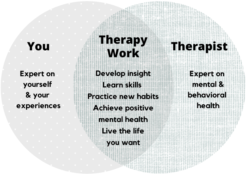 Ven Diagram of You, Therapy Work, and Your Therapist