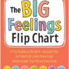 The Big Feelings Flip Chart - cover